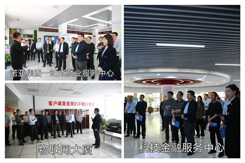 1736925183896337.jpg 640 (4).jpg