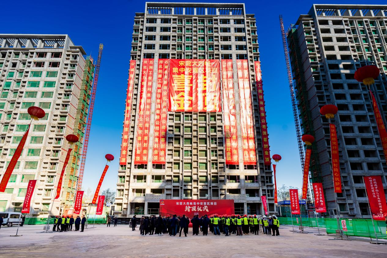 項目全過程管理服務